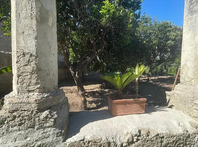 Tenuta La Torre * 特罗佩阿