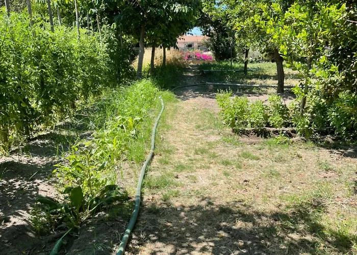 度假居 Tenuta La Torre 特罗佩阿