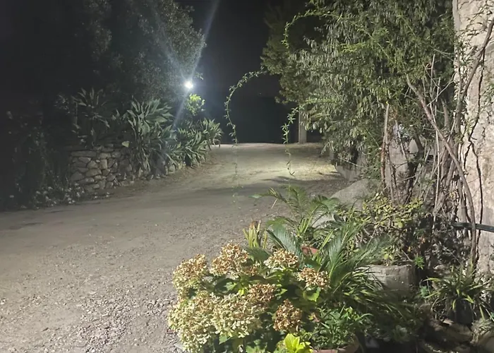 Tenuta La Torre * 特罗佩阿