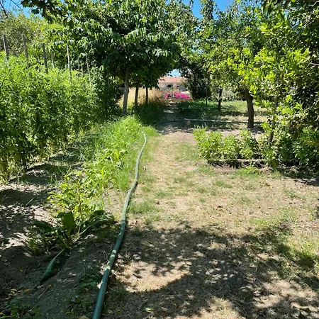 בית נופש Tenuta La Torre טרופאה