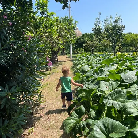 Tenuta La Torre בית נופש