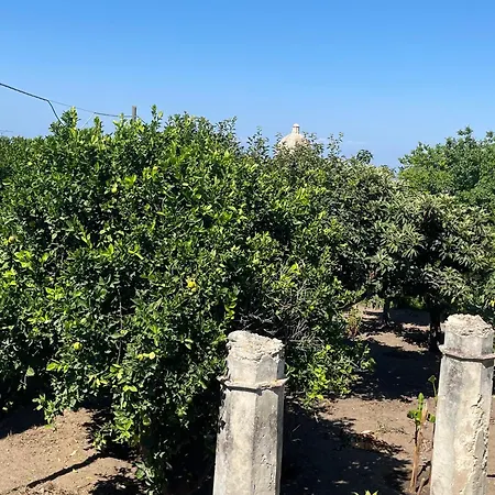 Tenuta La Torre * Tropea