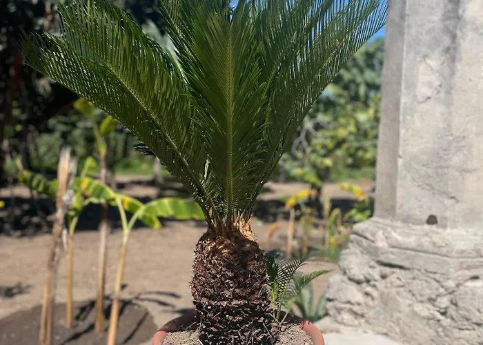 Tenuta La Torre * Tropea