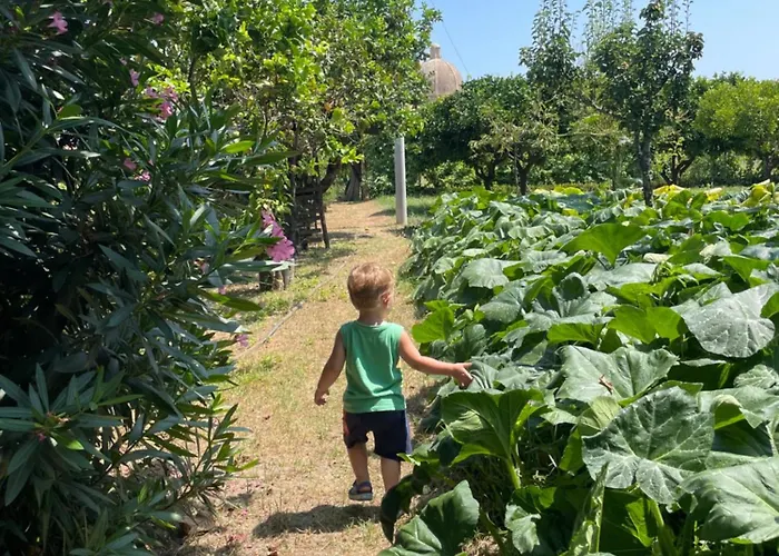 Tenuta La Torre Nyaraló