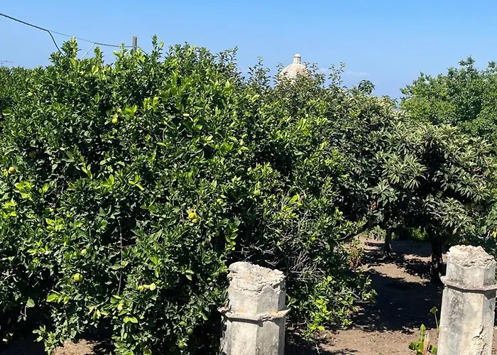 Tenuta La Torre * Tropea